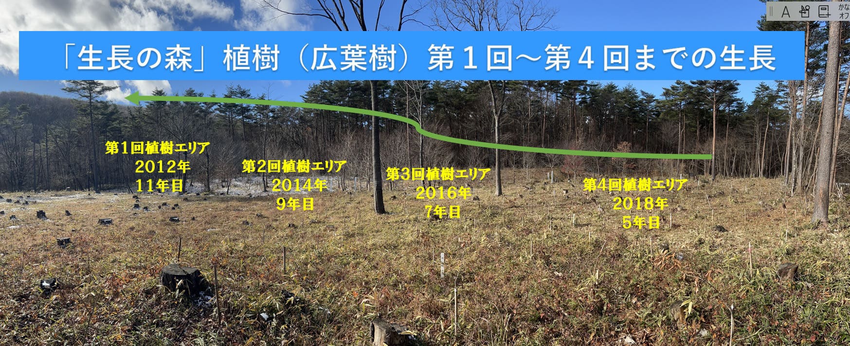 第1回から第4回までの生長